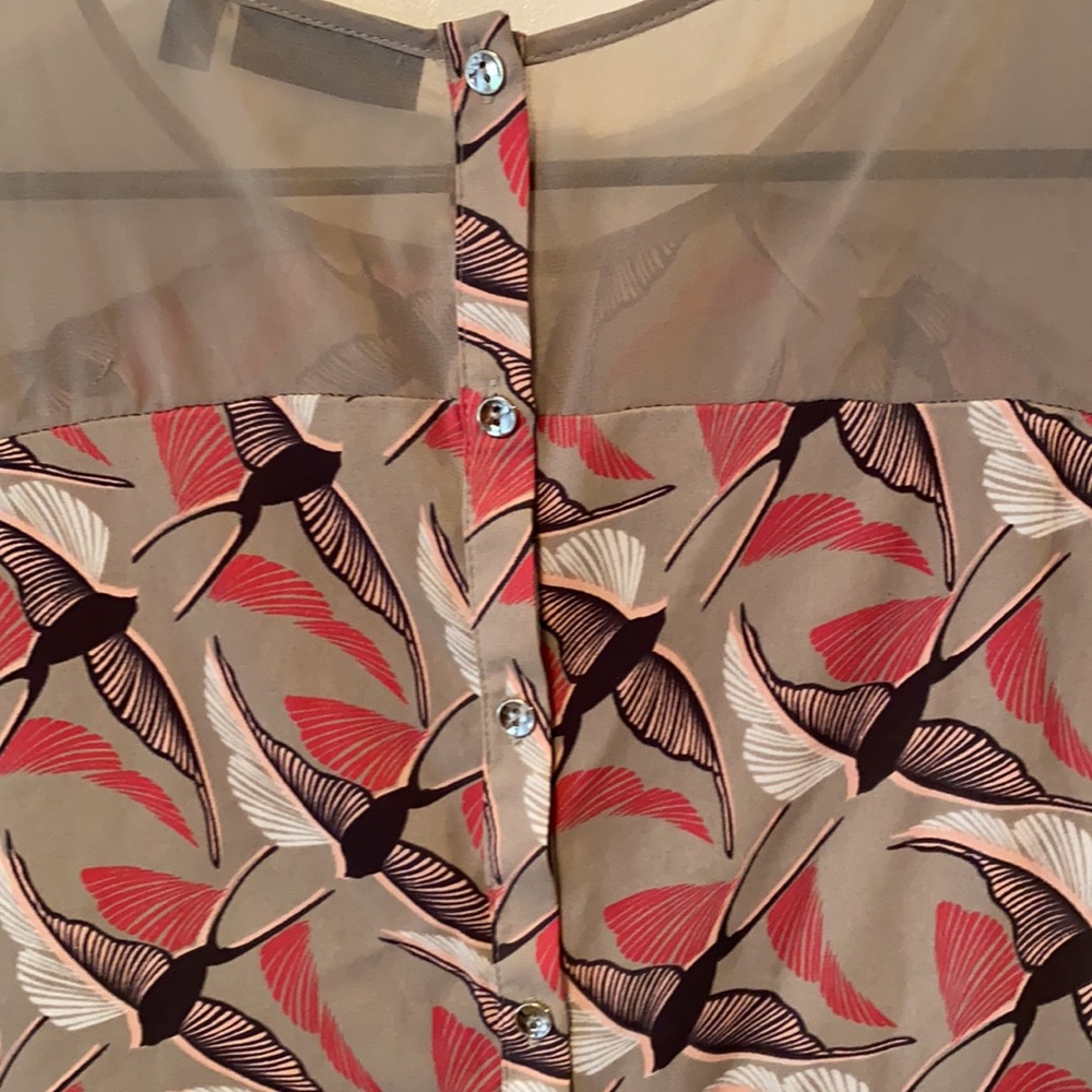 Apt 9 gorgeous sheer bird motif shell. Unique back - Picture 6 of 8